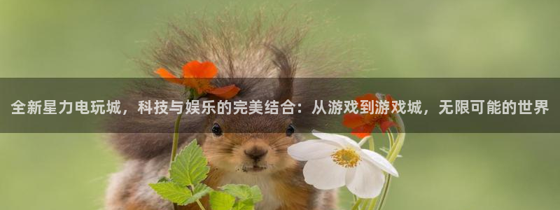 天美娱乐游戏：全新星力电玩城，科技与娱乐的完美结合：从游戏到