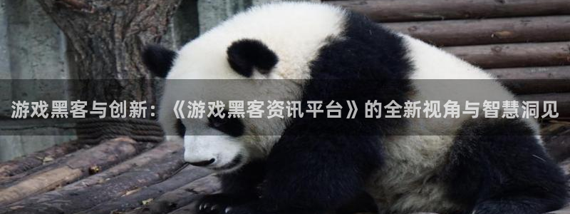 天美娱乐登陆：游戏黑客与创新：《游戏黑客资讯平台》的全新视角
