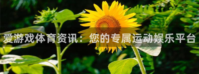 天美娱乐2登录：爱游戏体育资讯：您的专属运动娱乐平台