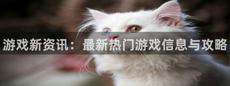 天美娱乐平台负责人：游戏新资讯：最新热门游戏信息与攻略