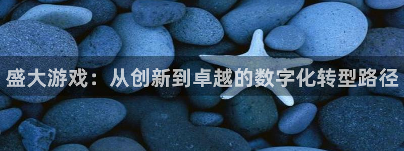 手机版天美娱乐客户端下载：盛大游戏：从创新到卓越的数字化转型