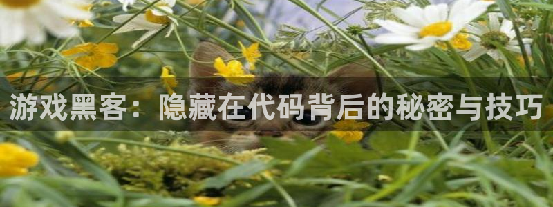 天美娱乐登录网址：游戏黑客：隐藏在代码背后的秘密与技巧