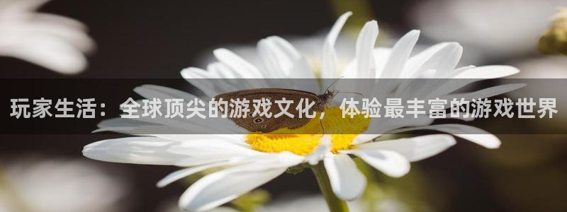 天美娱乐登陆：玩家生活：全球顶尖的游戏文化，体验最丰富的游戏