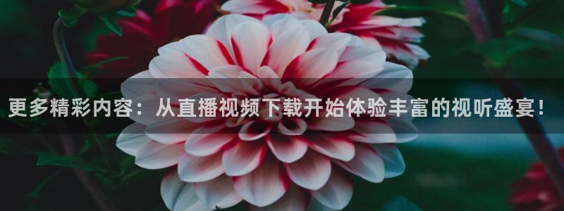 833直播体育免费入口
