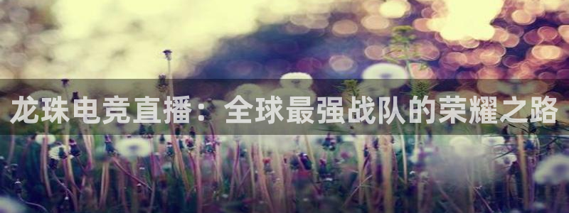 833直播篮球比赛在线观看
