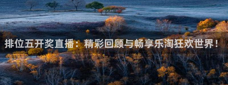 833直播体育app