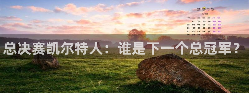 833体育免费直播