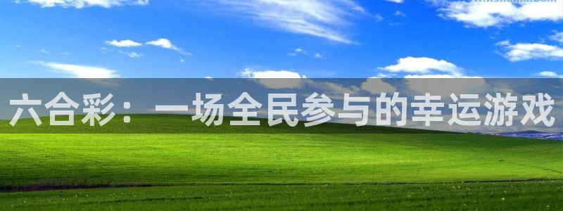 833篮球直播比赛在线观看：六合彩：一场全民参与的幸运游戏