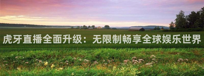833足球比赛直播高清：虎牙直播全面升级：无限制畅享全球娱乐世界