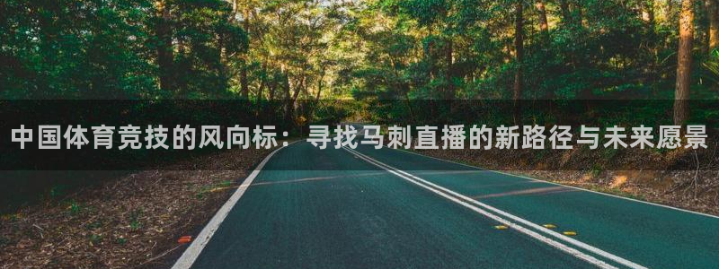 833足球免费直播：中国体育竞技的风向标：寻找马刺直播的新路径与未来愿景
